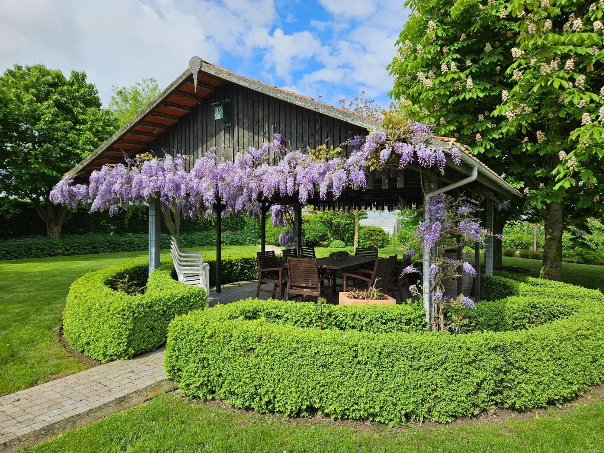 'T Hooghe Licht Bed & Breakfast Zonnebeke Zewnętrze zdjęcie